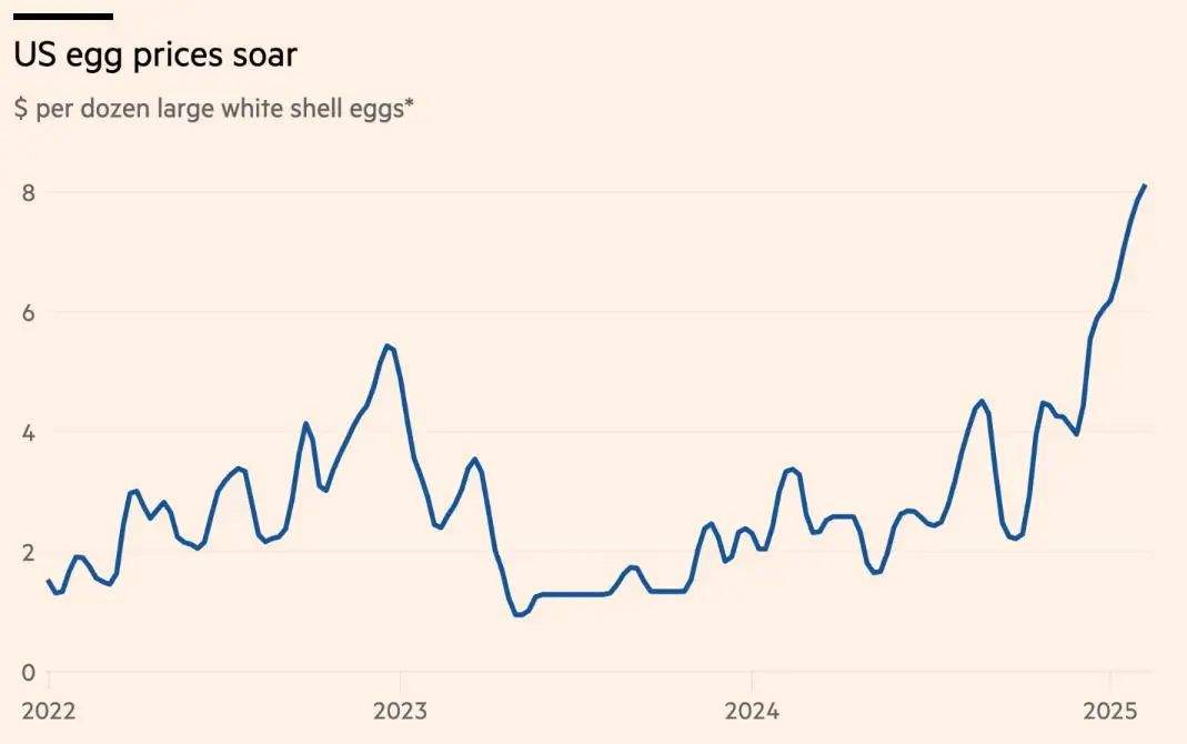 “蛋荒”仍在爆發中，價格創下45年新高！美國人開始自己養雞